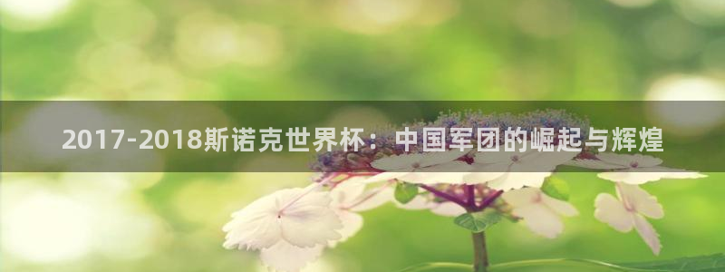 世界杯决赛预测：2017-2018斯诺克世界杯：中国军团的崛起与辉煌