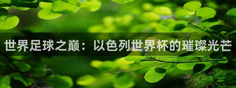 欧洲世界杯预选赛赛程：世界足球之巅：以色列世界杯的璀璨光芒