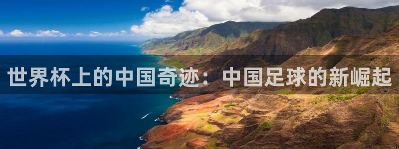 世界杯2026比赛时间表：世界杯上的中国奇迹：中国足球的新崛起