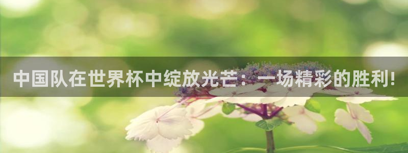 世界杯亚洲区预选赛赛程表：中国队在世界杯中绽放光芒：一场精彩的胜利!