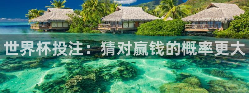 足球比分直播世界杯：世界杯投注：猜对赢钱的概率更大