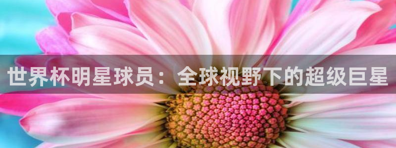 看世界杯:世界杯明星球员:全球视野下的超级巨星