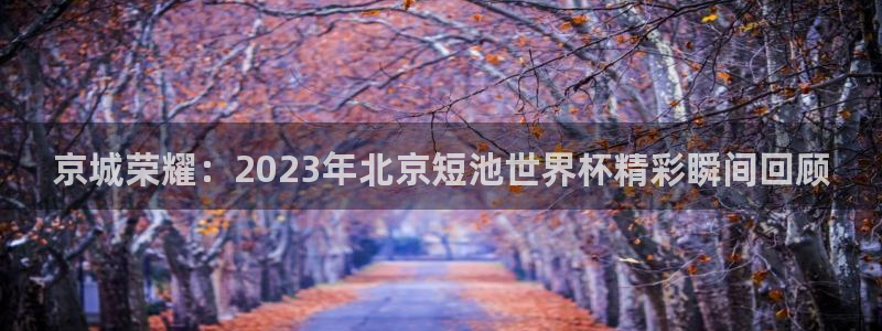 2026世界杯赛:京城荣耀:2023年北京短池世界杯精彩瞬间回顾