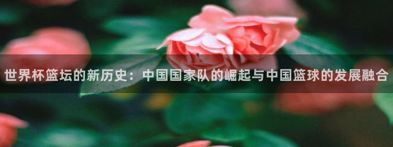 世界杯比赛赛程：世界杯篮坛的新历史：中国国家队的崛起与中国篮球的发展融合