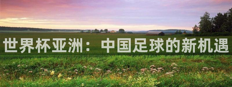 2026世界杯买球：世界杯亚洲：中国足球的新机遇