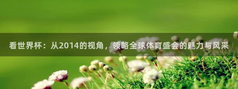 世界杯欧洲区世预赛赛程：看世界杯：从2014的视角，领略全球体育盛会的魅力与风采