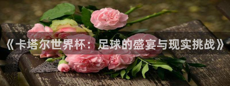世界杯预选赛直播：《卡塔尔世界杯：足球的盛宴与现实挑战》
