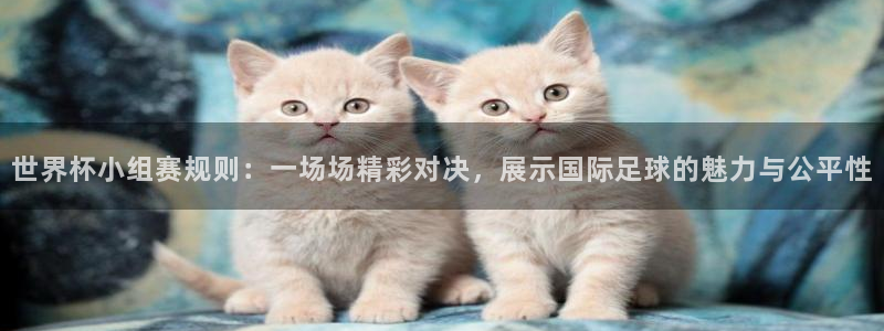 世界杯欧洲区赛程：世界杯小组赛规则：一场场精彩对决，展示国际足球的魅力与公平性